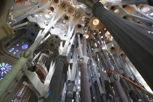 Sagrada Familia w Barcelonie