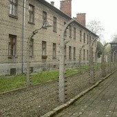 Belgowie odpowiedzą za kradzież w Muzeum Auschwitz