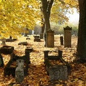 Cmentarze ukryte w lesie