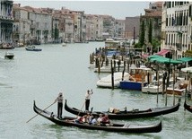 Niewytłumaczalny pomór ryb w kanałach w Wenecji