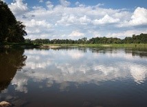 Śląskie. Wody Polskie: śnięte ryby w granicznym odcinku Odry
