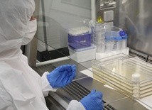 Naukowcy z Uniwersytetu Jagiellońskiego stworzyli substancję silnie hamującą zakażenie koronawirusem 