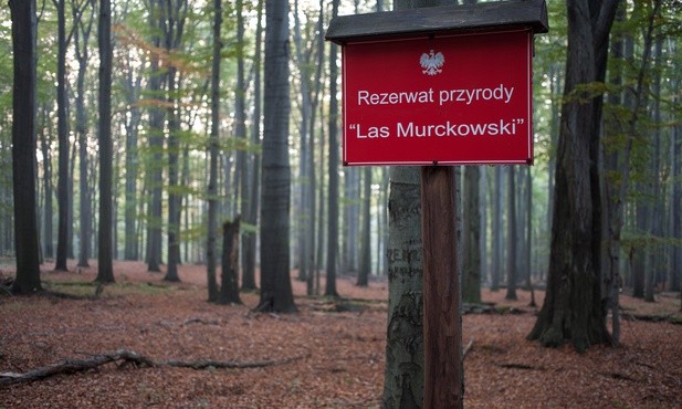 09.02.2015: Las Murckowski