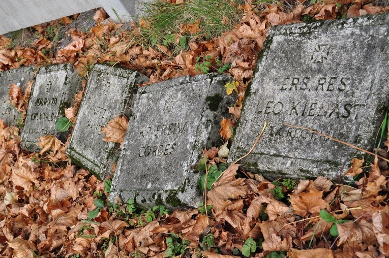 Tablice nagrobne niemieckich żołnierzy, spoczywających na cmentarzu w Opinogórze Dolnej