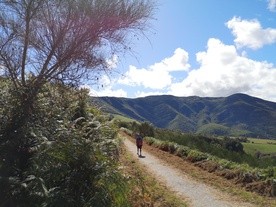 Camino Francuskie, Hiszpania, Droga św. Jakuba