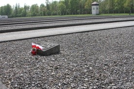 W Dachau