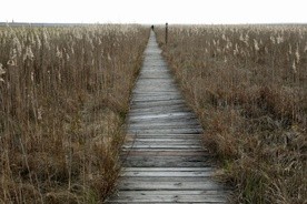 Życie jest nezwykle zróżnicowane