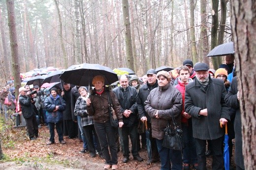 Droga Krzyżowa w Wał Rudzie