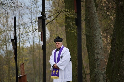 Święty Gaj - uroczystości odpustowe 