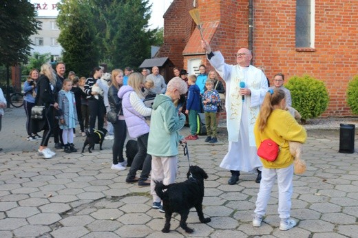 Błogosławieństwo "braci mniejszych" we wspomnienie św. Franciszka