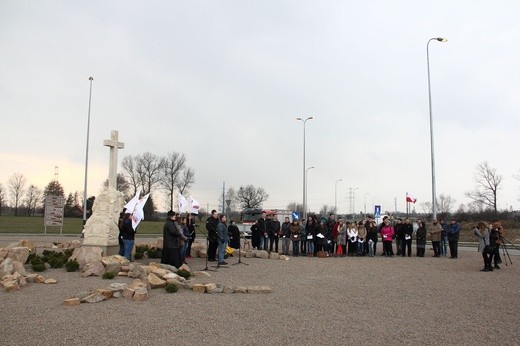 Wolontariusze ŚDM na Campus Misericoridiae