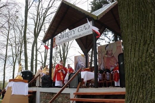 Święty Gaj - uroczystości odpustowe 