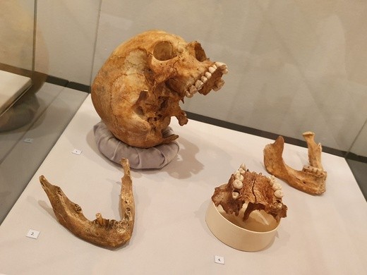 Legendarne Sutuhali? Wystawa w Muzeum Górnośląskim