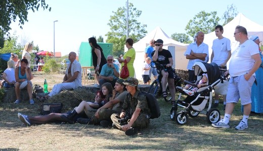 VII Festiwal Wikingowie w Elblągu