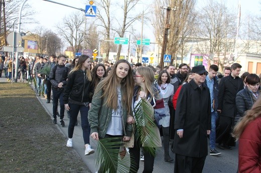 Niedziela Palmowa Młodych