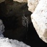 Wejście do jaskini