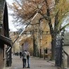 Amerykański turysta skazany za niszczenie Miejsca Pamięci Auschwitz