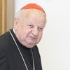 Kard. Stanisław Dziwisz