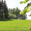 Zaglądamy do lasu! Co o tej porze roku tam się dzieje?