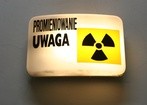 Tylko 1 proc. ocalałych po atakach atomowych na Japonię zmarło na nowotwory popromienne