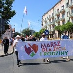 Marsz dla Życia i Rodziny - Iława 2019