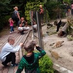 85 lat krakowskiego zoo