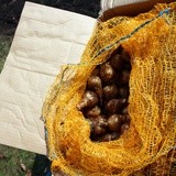 Pola Nadziei w Płocku