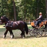 I Międzynarodowy Konkurs Tradycyjnego Powożenia o Trofeum Śląska w Koszęcinie