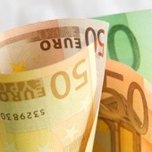 Niemiecki ekonomista: Polska nie powinna przyjmować euro