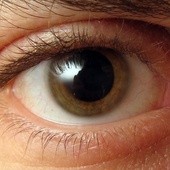 Poznawanie oka oraz procesów widzenia