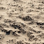 W Al-Faszir w Sudanie mogło zginąć nawet 60 tys. osób