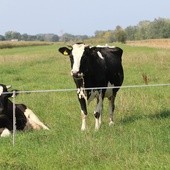 Baranów koło Grodziska Mazowieckiego