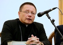 „Domki arcybiskupa Rysia” – projekt w zawieszeniu