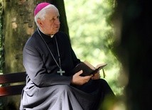 Abp Damian Zimoń świętuje. To 40 rocznica konsekracji biskupiej