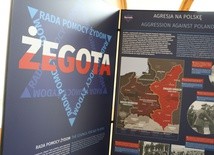 Wystawa "Żegota"