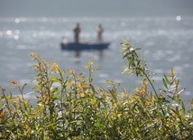 Żyjmy jak w jasny dzień