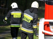 Polscy strażacy bohaterami wystawy w Parlamencie Europejskim