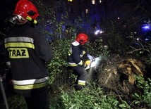 W związku z przechodzącym nad Polską orkanem Sabina minionej doby małopolscy strażacy interweniowali 550 razy