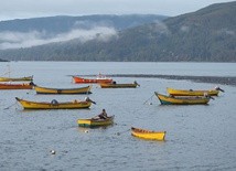 Niebla, Chile