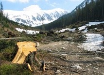 Tatrzańskie szlaki do remontu 