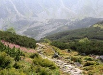 Tatrzański Park Narodowy otwarty od 4 maja