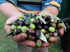 Strefa Gazy: Co najmniej 47 osób zginęło w izraelskim ostrzale