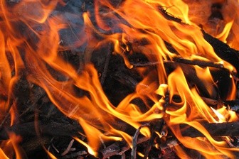 XXXIII Niedziela Zwykła