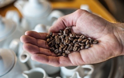 Nadmiar kawy może niekorzystanie wpływać na pracę mózgu
