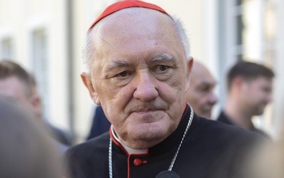 O czym papież rozmawiał z trzecią grupą polskich biskupów?