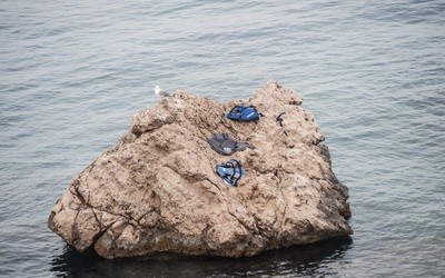 Na migracyjnych szlakach