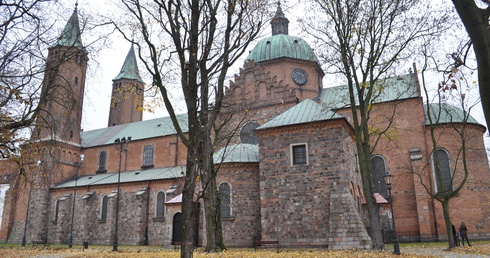 Bazylika katedralna na Tumskim Wzgórzu w Płocku (widok od strony Wisły)