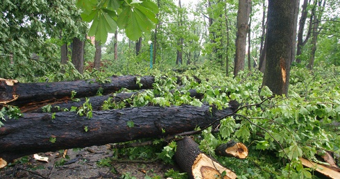 Wiatr narobił szkód