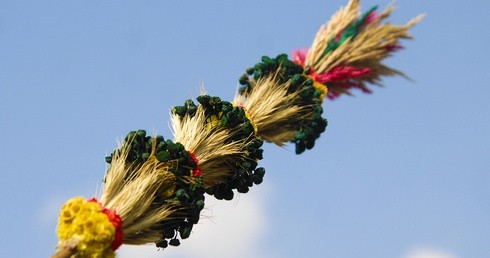 Niedziela Palmowa - rozpoczynamy Wielki Tydzień