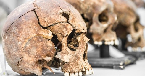 Co nam powie o człowieku szczęka sprzed 1,8 miliona lat?